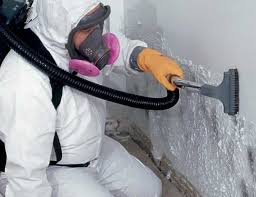 Trusted Colville, WA Mold Prevention & Removal  Experts